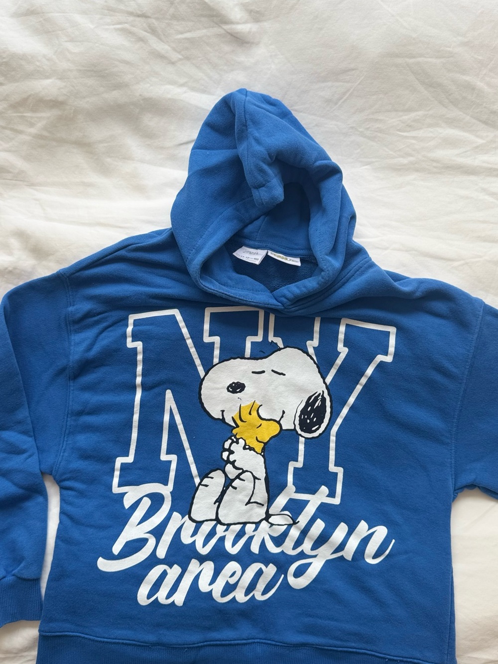 Zara Blue Kids Hoodie with Snoopy & Woodstock Brooklyn Graphic